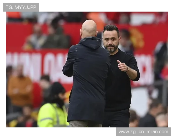 布莱顿的欧战首秀：德泽尔比的挑战与机遇，德布莱尔门窗有限公司